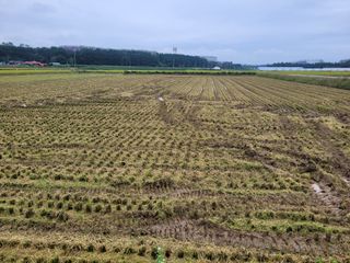 커피나무님의 자유주제 · 자유게시판 작성글 사진