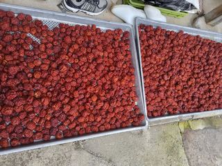 이용근님의 작성글 사진