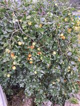 팜모닝 · 게시글 이미지