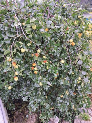 임기석님의 작성글 사진