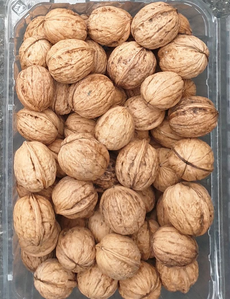 장터 상품 [호두. 1KG] 썸네일