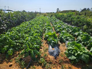 강창원님의 자유주제 · 자유게시판 작성글 사진