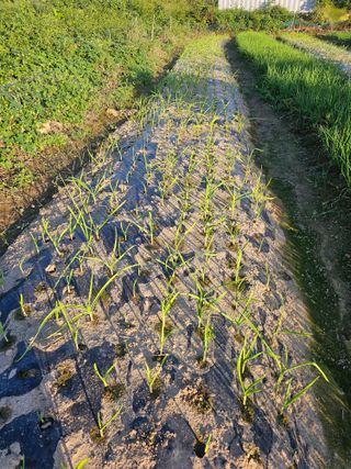 오영관님의 자유주제 · 자유게시판 작성글 사진