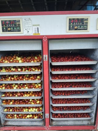 이용근님의 작성글 사진