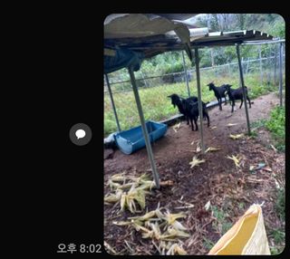 백순분님의 작성글 사진