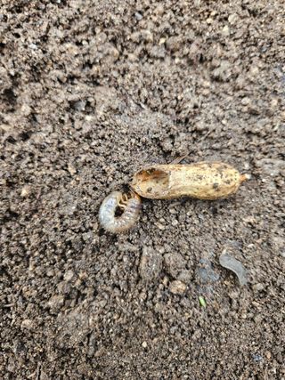 드라곤해드님의 자유주제 · 자유게시판 작성글 사진