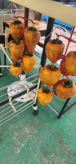 김선례님의 자유주제 · 자유게시판 작성글 사진