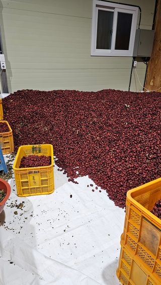 배성은365님의 자유주제 · 자유게시판 작성글 사진