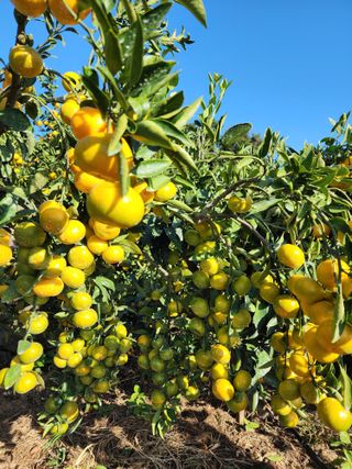 조현기 님의 작성글 사진