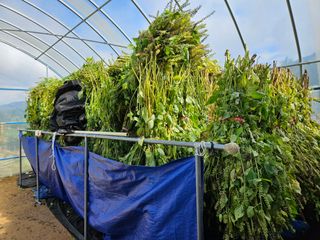 마중물0715님의 자유주제 · 자유게시판 작성글 사진