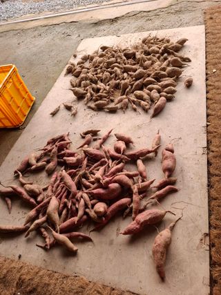 문영식님의 자유주제 · 자유게시판 작성글 사진