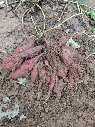 문영식님의 자유주제 · 자유게시판 작성글 사진