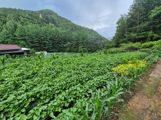 이금범님의 작성글 사진