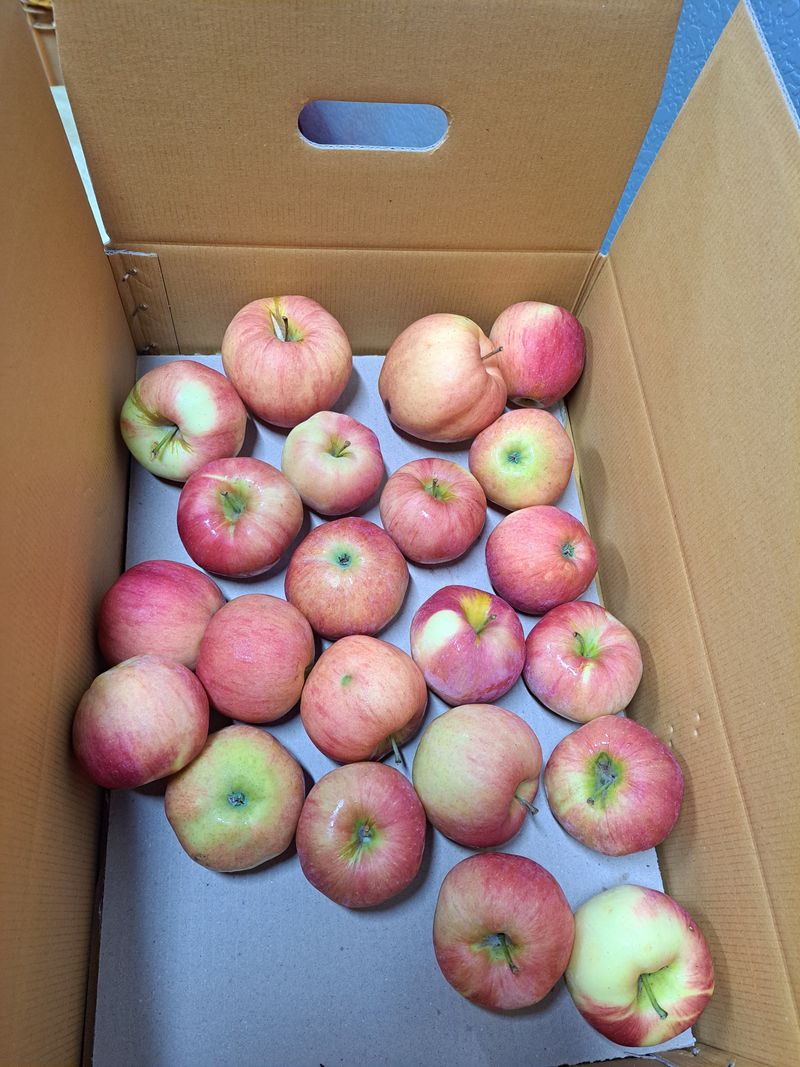 장터 상품 [홍로쥬스용4.5키로] 썸네일