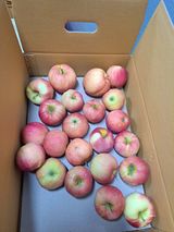 팜모닝 · 게시글 이미지