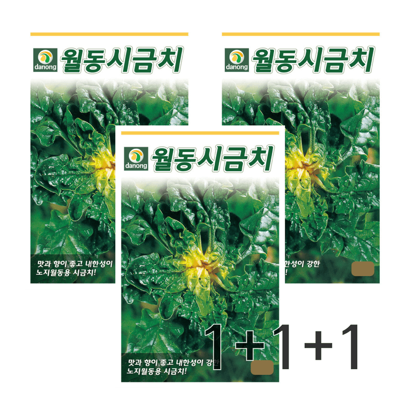 장터 상품 [월동시금치 (동초) 씨앗 3봉 세트 / 섬초  / 시금치 씨앗] 썸네일
