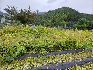 마중물0715님의 자유주제 · 자유게시판 작성글 사진
