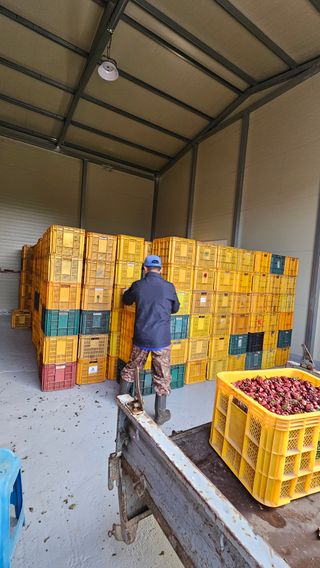 배성은365님의 자유주제 · 자유게시판 작성글 사진