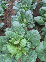 팜모닝 자유주제·자유게시판 게시글 이미지