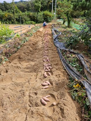 마중물0715님의 자유주제 · 자유게시판 작성글 사진