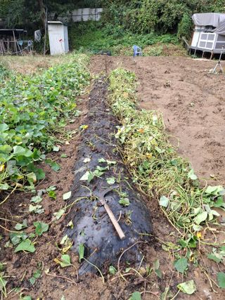 문영식님의 자유주제 · 자유게시판 작성글 사진