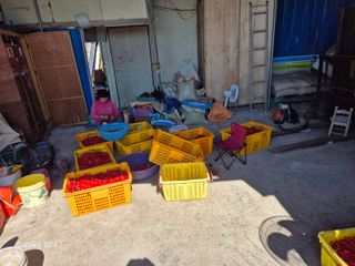 사천시향촌동 돼지띠님의 자유주제 · 자유게시판 작성글 사진