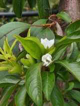 팜모닝 자유주제·자유게시판 게시글 이미지