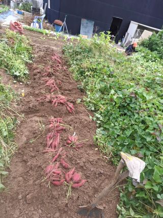 문영식님의 자유주제 · 자유게시판 작성글 사진