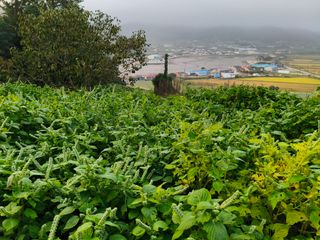 박원옥님의 자유주제 · 자유게시판 작성글 사진