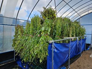 마중물0715님의 자유주제 · 자유게시판 작성글 사진