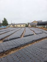 팜모닝 · 게시글 이미지