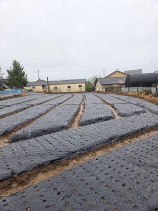 백현호님의 작성글 사진