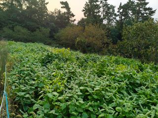 박원옥님의 자유주제 · 자유게시판 작성글 사진