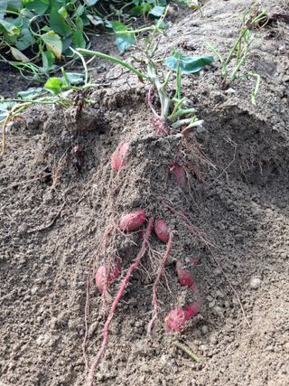 문영식님의 자유주제 · 자유게시판 작성글 사진
