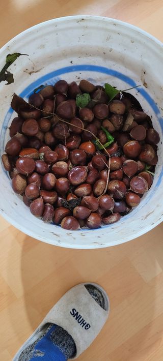 땅땅님의 자유주제 · 자유게시판 작성글 사진