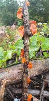 팜모닝 자유주제·건의해요 게시글 이미지