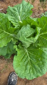 팜모닝 자유주제·자유게시판 게시글 이미지