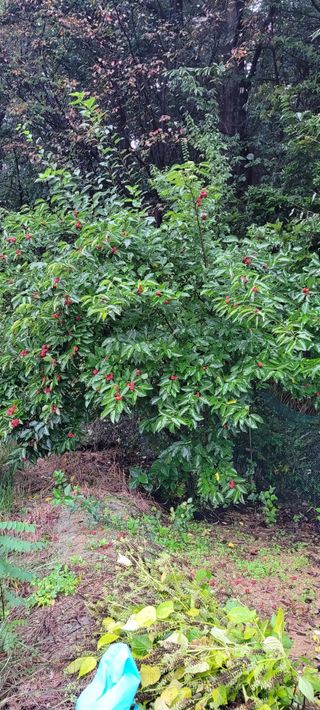 땅땅님의 자유주제 · 자유게시판 작성글 사진