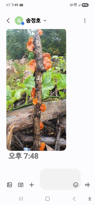 정선농부님의 자유주제 · 건의해요 작성글 사진