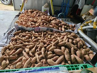 마중물0715님의 자유주제 · 자유게시판 작성글 사진