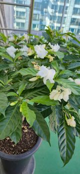 팜모닝 자유주제·자유게시판 게시글 이미지