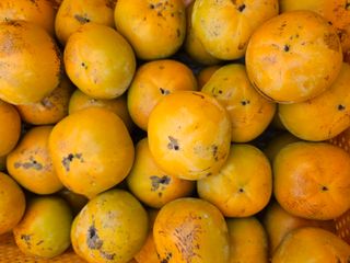 조균원님의 자유주제 · 자유게시판 작성글 사진