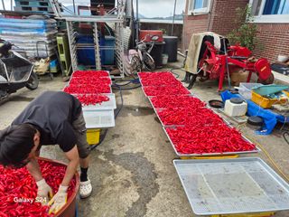 사천시향촌동 돼지띠님의 자유주제 · 자유게시판 작성글 사진