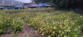 땅땅님의 자유주제 · 자유게시판 작성글 사진