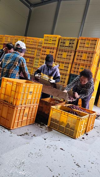 배성은365님의 자유주제 · 자유게시판 작성글 사진