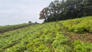 송하영님의 자유주제 · 자유게시판 작성글 사진