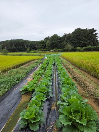 백현호님의 작성글 사진
