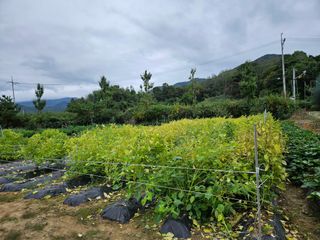 마중물0715님의 자유주제 · 자유게시판 작성글 사진