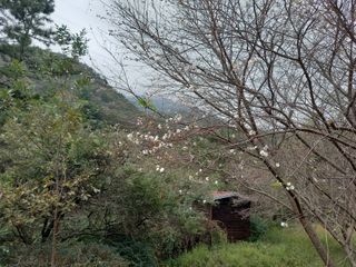 연향님의 자유주제 · 자유게시판 작성글 사진