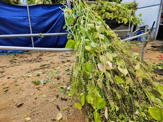 마중물0715님의 자유주제 · 자유게시판 작성글 사진